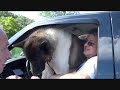 **Will Greenberg Rescue The 5TH? - Gentle Man In Woodbury** July 21, 2012