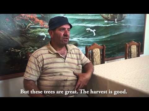 Armenia Tree Project-ի եւ Արցախում հաստատված սիրիահայերի հրաշալի գործակցությունը Armenia Tree Project-ի եւ Արցախում հաստատված սիրիահայերի հրաշալի գործակցությունը