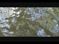 Gold Dredging In N.C.
