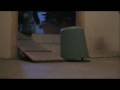 Eta-is-practising-turning-after-running-contacts-at-home
