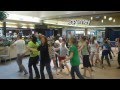 ViSalus World's Largest Simultaneous Flash Mob: Fredericksburg, VA Thumbnail