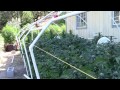 The Weed Nerd episode 156 Hunters of Dank Part 3 Leo's Garden