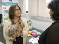 Calcolosi di cani e gatti Calcolosi di cani e gatti