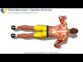 Spartan Push Up (300 workout)