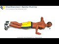 Spartan Push Up (300 workout)