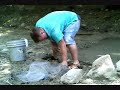 FISH RESCUE!