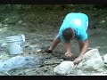 FISH RESCUE!