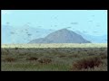 Plagues of Locusts - Wild Africa - BBC
