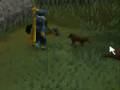 Tutorial ID : 21714