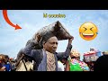 KENYA SIHAMI funny video memes  2025 compilation vines Kenya sihami latest