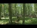 Bialowieza primeval Forest - part 1