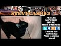 Talking Kitty Cat 19 - Sylvester Goes To Jail