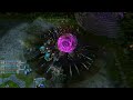 Ashe 1v5 pentakill