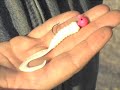 Early Spring Fishing Lures