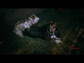Kid Cudi - Pursuit of Happiness (Steve Aoki Remix) - Project X (Official Music Video) HD