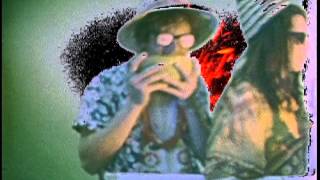 The Growlers - “Row” - Video