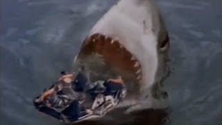 Shark Attack 3: Megalodon. Ремонт