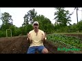 Using Hydroponic Fertilizers : Questions and Concerns