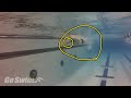 Sample Video (GoSwim.tv)
