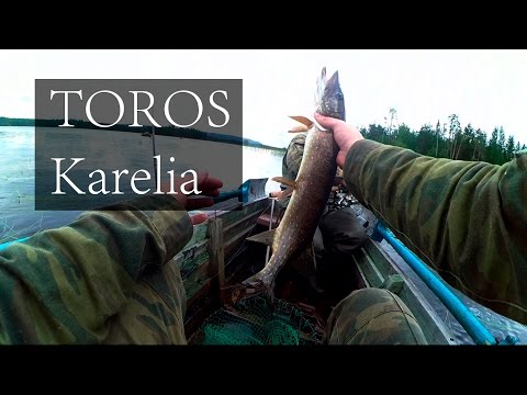 ловить торос ловить торос