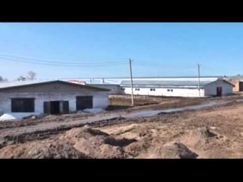 рыбалка в исмаилово дюртюлинский район рыбалка в исмаилово дюртюлинский район