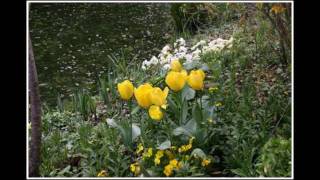 La Maison et les Jardins de Claude Monet. Monet Gardens. Сады Моне.