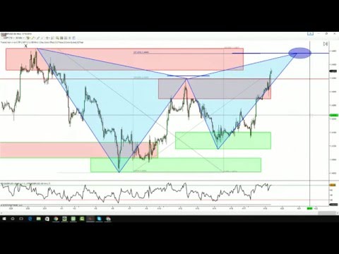 Forex cv
