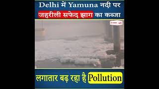 Delhi में Yamuna नदी पर जहरीली सफेद झाग का कब्जा