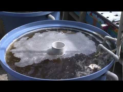 Aquaponics Download mp3