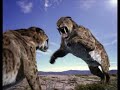 Dire wolf vs Saber Tooth Tiger