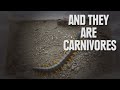 The Most Disturbing Scientific Facts