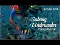 Underwater Pulau Rubiah Sabang