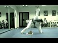 Traditional Taekwon-Do Terranova 12. Gae-Baek Hyong