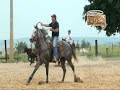 Renato Guariglia Laço Rancho