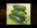 Grazing vs. Meals on the Fruitarian Diet