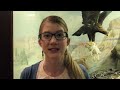 What is a Museum?