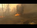 Homes destroyed as NSW ravaged by fire