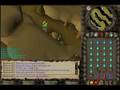 Tutorial ID : 36024