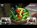JacksGap chilli challenge with Jamie Oliver