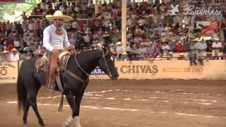 Charrería en Tlajomulco de Zúñiga (Tlajomulco de Zúñiga, Jalisco)