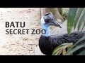 Batu Secret Zoo, Jatim Park 2