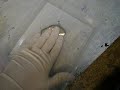 Playing With Mercury