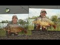 CARP FISHING TIPS - DAY TICKET SUCCESS WITH RICH WILBY - EN ITA NL DE PL DE SUBTITLES - NASH TACKLE