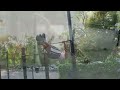 PEOPLE ARE AWESOME (STREET WORKOUT) 2013-2014 HD