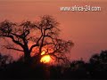 Sopa Lodges and Safaris Tanzania and Kenya Vacations - Africa Travel Channel