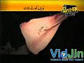 Jinnat Ka Khana in Tv Show Part 1