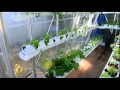 Sustainable urban agriculture hydroponic vegetable greenhouse.dv