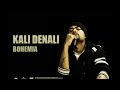 Bohemia - Kali Denali | Full Audio | Punjabi Songs