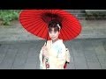菊地まどか - 夫婦鶴