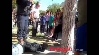 Ladrón herido tras golpiza de vecinos en Roca